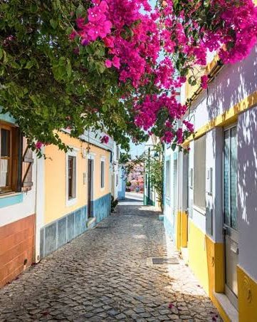 Cobbled street with bougainvillea in Lagoa, Algarve