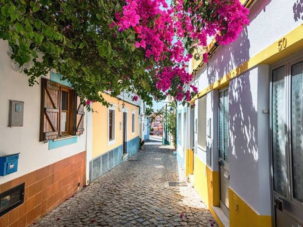 Cobbled street with bougainvillea in Lagoa, Algarve